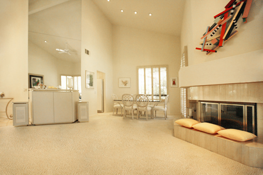 Living room area with fireplace 