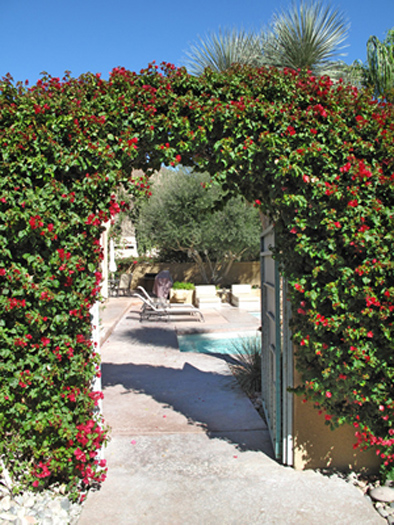 lush gardens of arteaga