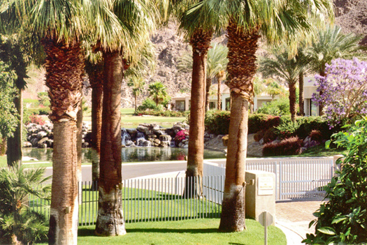 Mountain and water feature view from living room