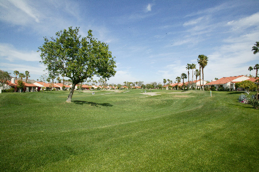 fairway