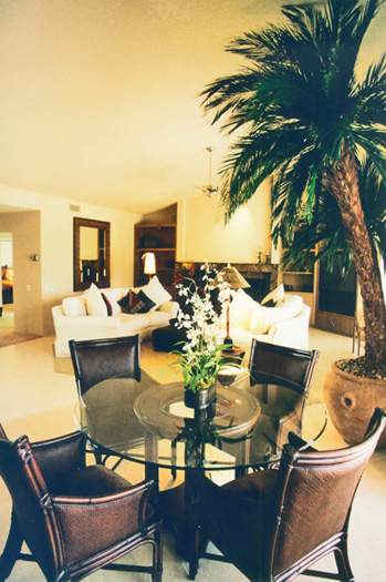 dining area and living room